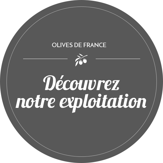 Découvrez notre exploitation